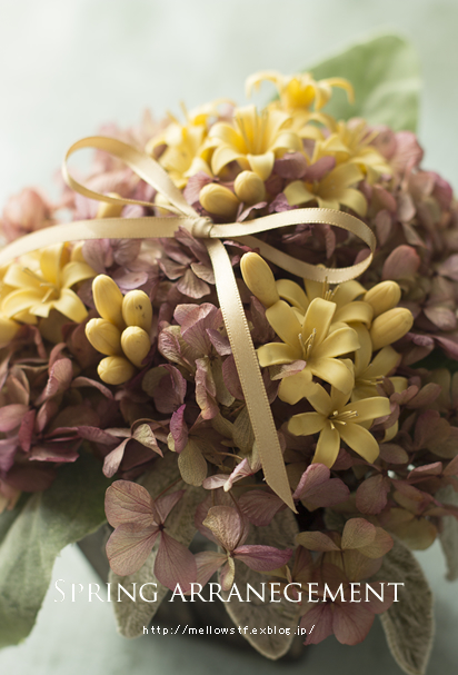 spring arrangement ふたつ。_d0124248_16132373.jpg