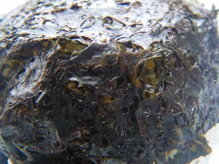 c0024861_1250821.jpg