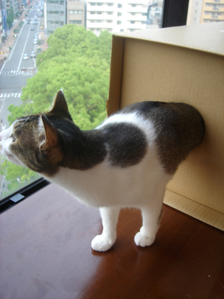 e0246661_07352.jpg