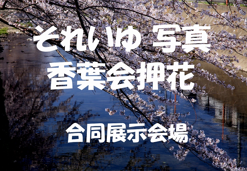 １０３　第２３回それいゆ展示会会場案内板　（香葉会押花との共催）_d0066469_15295067.jpg