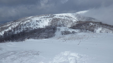 c0002874_2138382.jpg