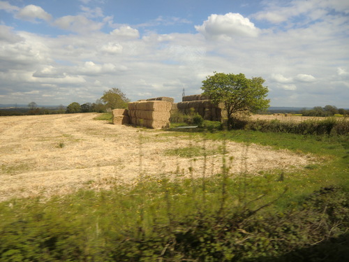 b0214184_18165446.jpg