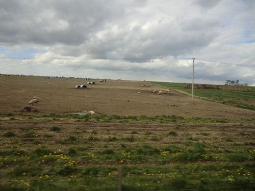 b0214184_18215947.jpg