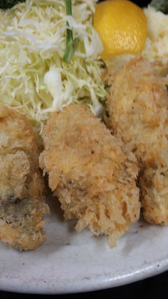 とんかつ宇田川（カキフライ）→遠州名物しらす玉子ご飯（ホテル玄浜松インター）静岡県_b0100489_1015225.jpg