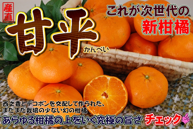初めて知った！柑橘、甘平｛かんぺい｝～！_d0060693_71419100.jpg