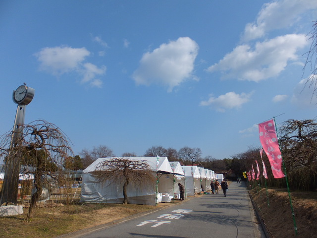 a0271502_166098.jpg