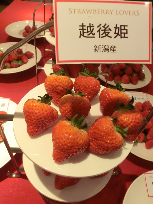 東京国際苺博覧会・苺大好き_c0125702_21355133.jpg