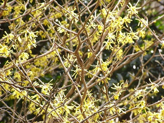 f0187402_23234130.jpg