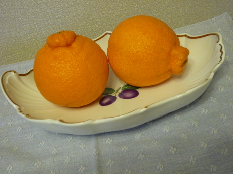 f0250403_21174428.jpg