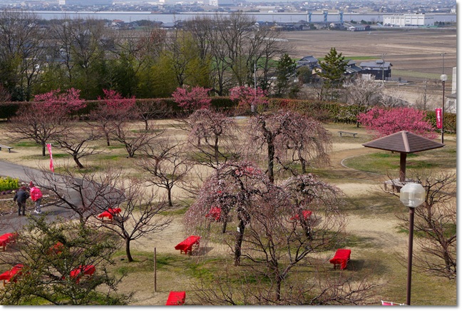 神崎梅園へ_c0037204_21293223.jpg