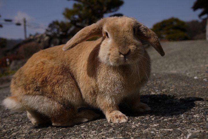 a0268412_22503345.jpg