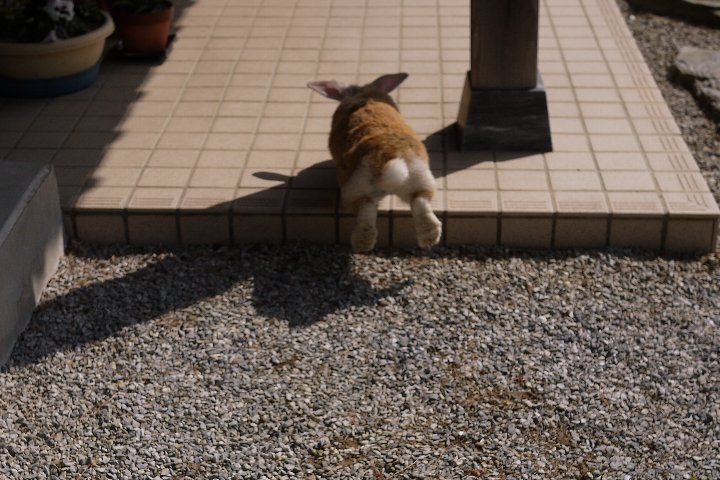a0268412_22503780.jpg