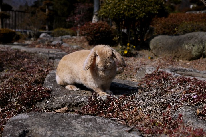 a0268412_22503881.jpg