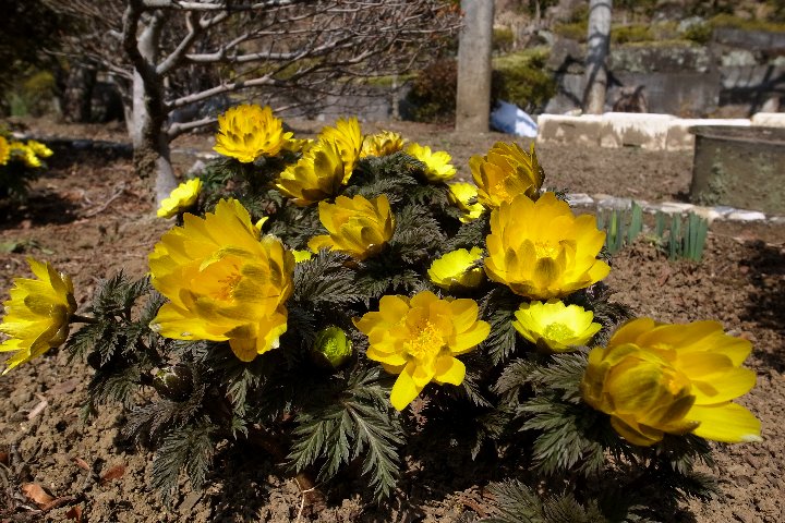 a0268412_22541475.jpg