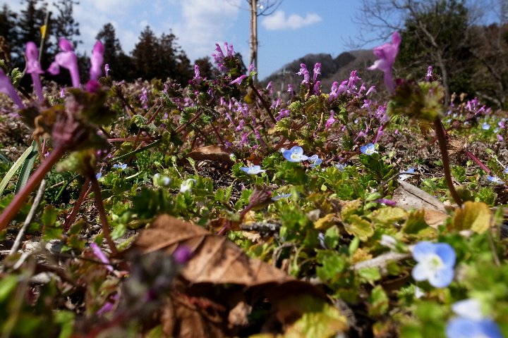 a0268412_2254494.jpg