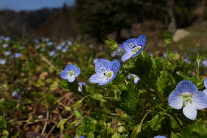 a0268412_2254762.jpg