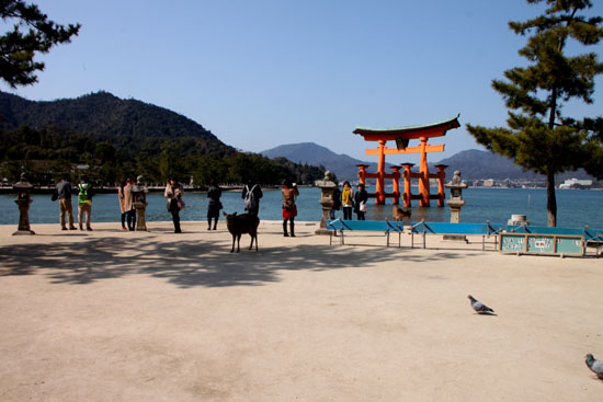安芸の宮島 厳島神社_e0048413_20535147.jpg