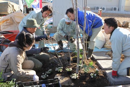 i-works柴モデル、植栽工事!_a0059217_0374312.jpg