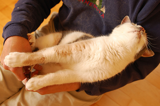 パッチンそのいち_b0259218_1432864.jpg