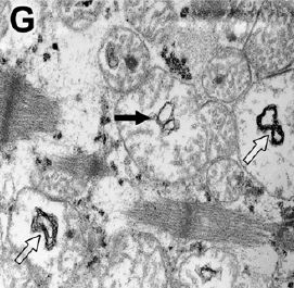 e0156318_23353456.jpg