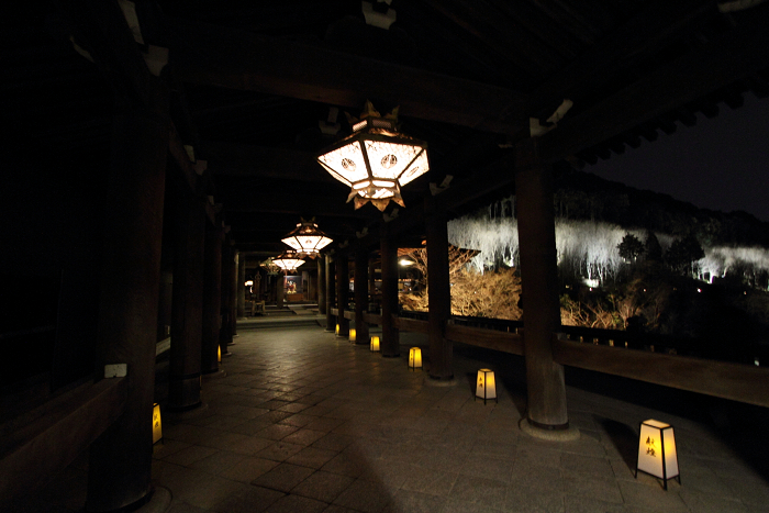 東山花灯路2012 －清水寺－_b0169330_0464335.jpg