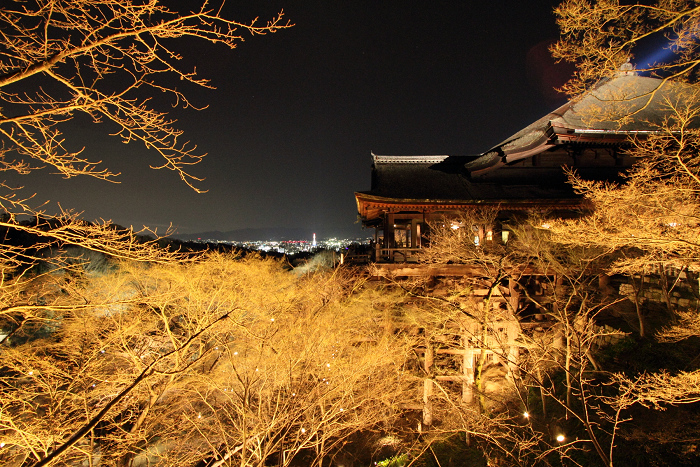 東山花灯路2012 －清水寺－_b0169330_0472326.jpg