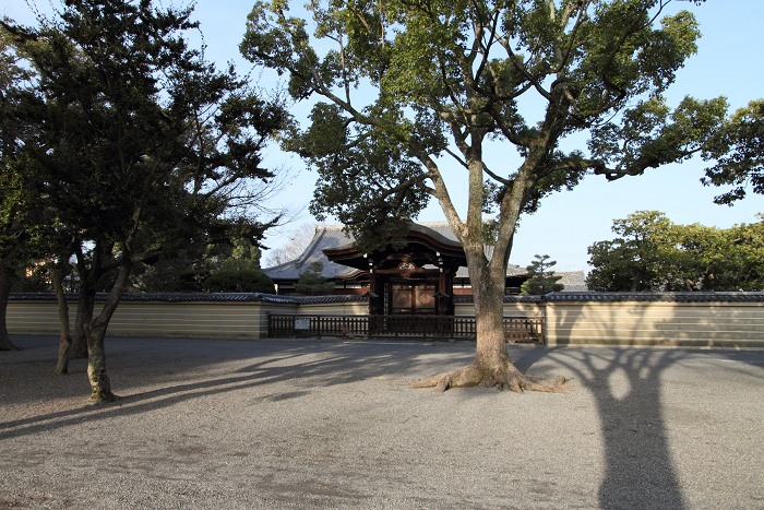 東寺（前編）_b0169330_18593485.jpg