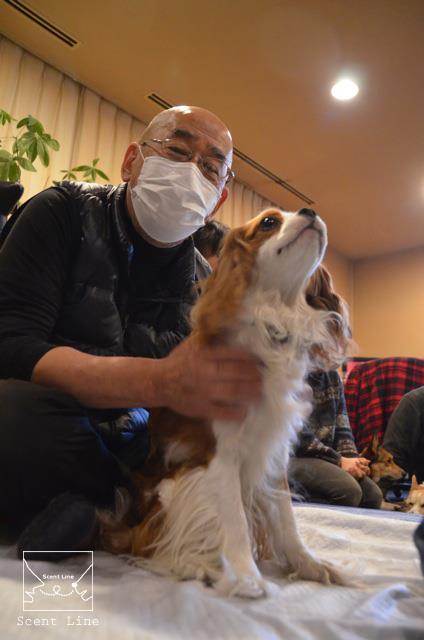 愛犬の為の整体教室のお知らせ_c0099133_0131360.jpg