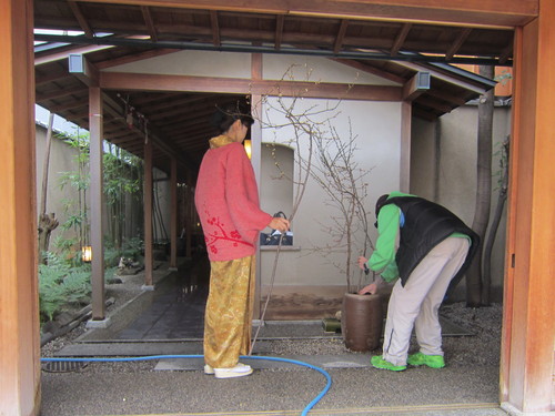 京都要庵歳時記　『平成２５年３月　弥生の玄関室礼』　海棠桜・白梅・雪ヤナギ　2_d0033734_17103793.jpg