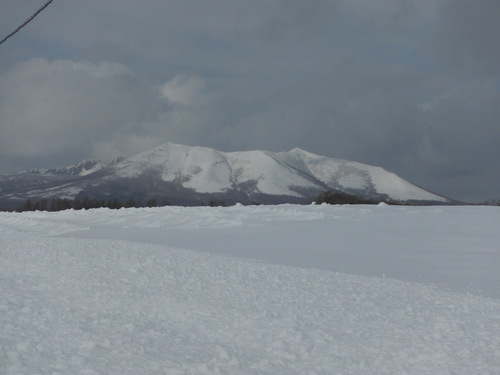 e0262235_194920.jpg