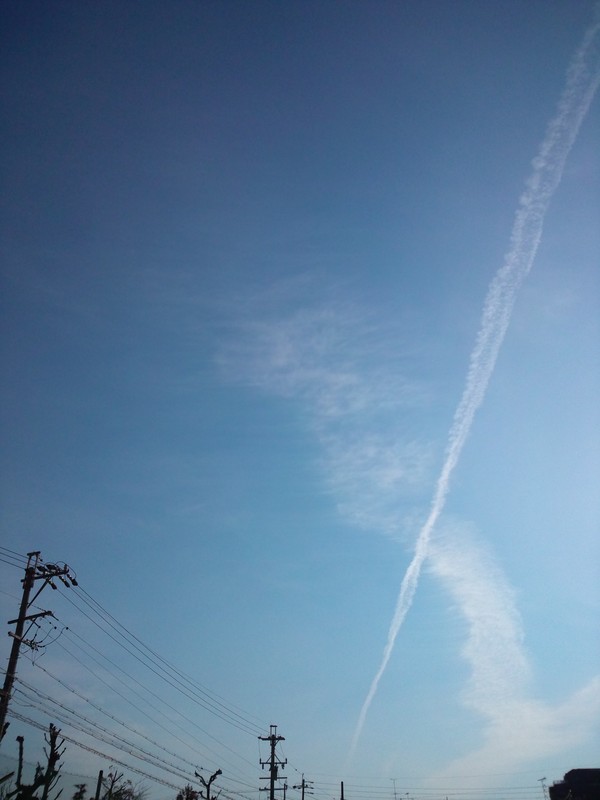 f0241240_603195.jpg