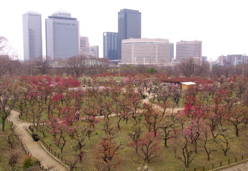 b0147449_15471096.jpg