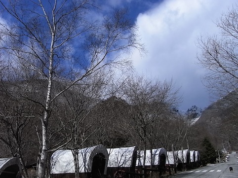 c0113755_15131320.jpg