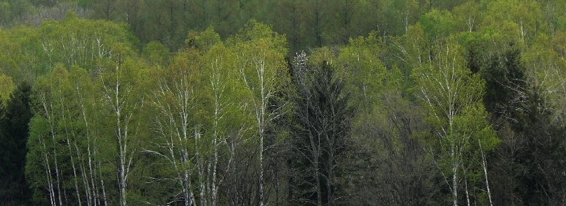 b0068572_22182829.jpg