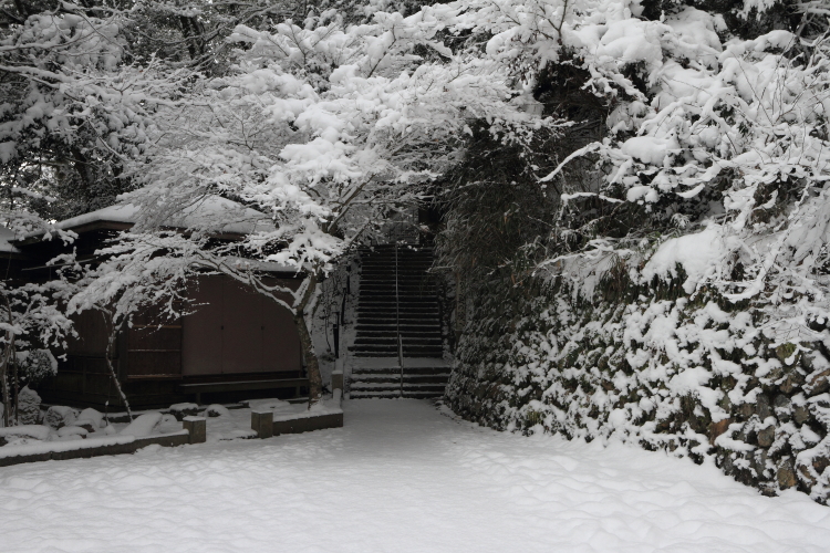 鞍馬寺 ~後編~_e0051888_19244914.jpg