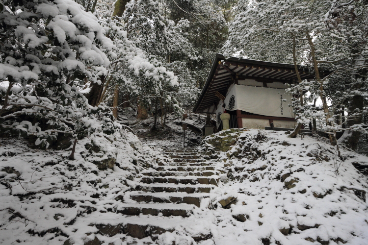 鞍馬寺 ~後編~_e0051888_19251777.jpg