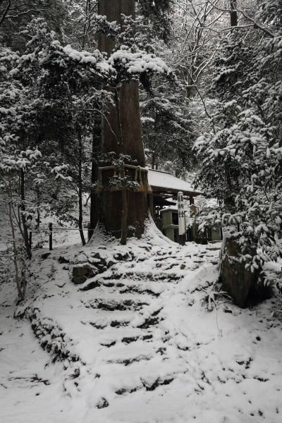 鞍馬寺 ~後編~_e0051888_1927444.jpg