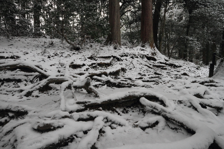 鞍馬寺 ~後編~_e0051888_19295735.jpg