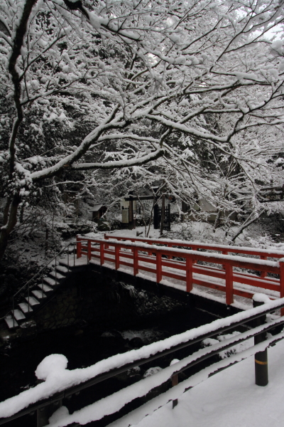 鞍馬寺 ~後編~_e0051888_19335015.jpg
