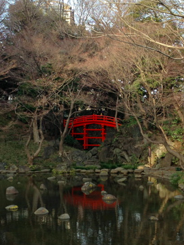 a0146493_20355492.png
