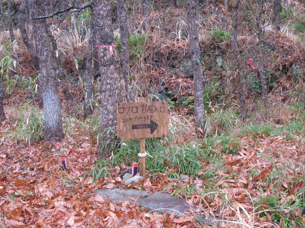 田染郷の岩屋探訪　2013.2.27（水）くもりのち晴れ_a0166196_18552964.jpg