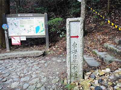 b0108100_11494135.gif