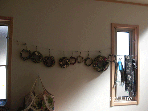 b0162000_603436.gif