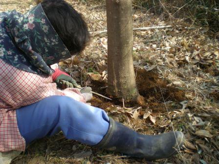 蠢動_e0148806_1358916.jpg