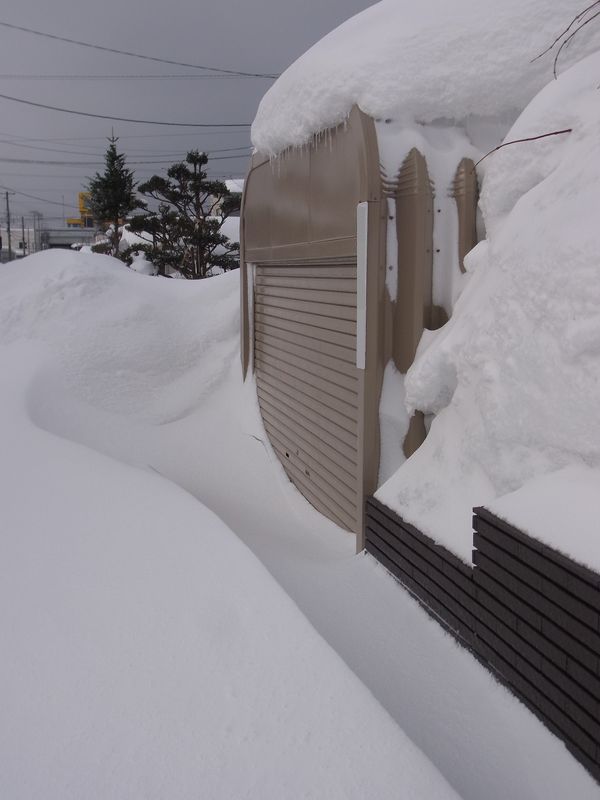 爆弾低気圧一過_c0025115_2210937.jpg