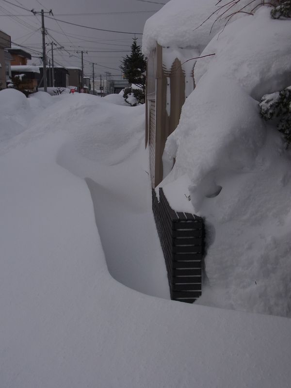 爆弾低気圧一過_c0025115_22115266.jpg