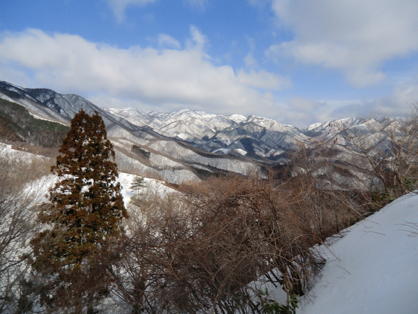 雪の虎子山（とらすやま） 1,183.2M に登る_d0170615_2246261.jpg