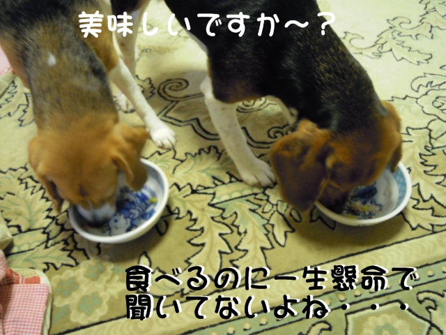 c0166622_1955495.jpg