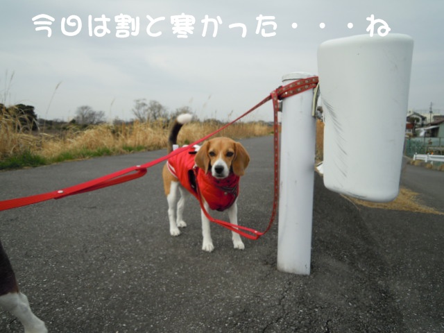 c0166622_2053094.jpg