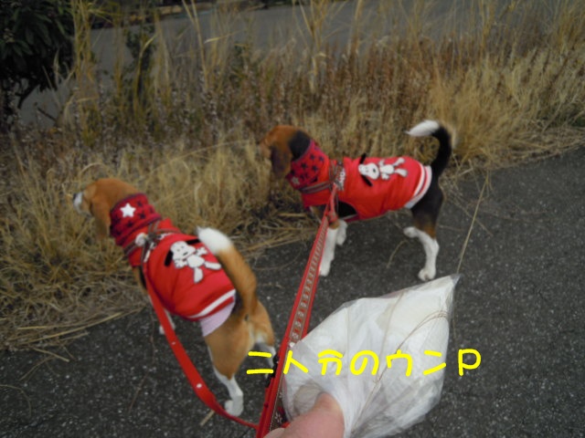 c0166622_2063571.jpg